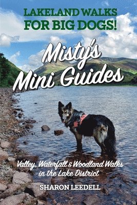 bokomslag Misty's Mini Guides