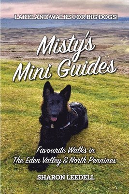 bokomslag Misty's Mini Guides