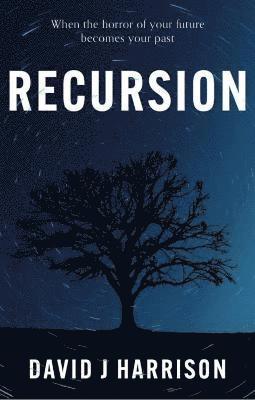 bokomslag Recursion