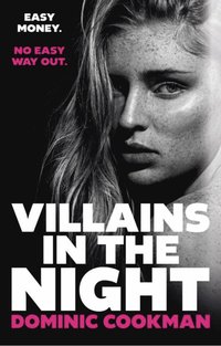bokomslag Villains in the Night