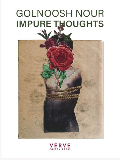 bokomslag Impure Thoughts