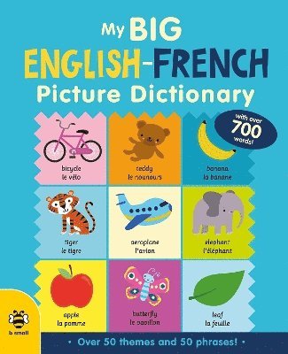 bokomslag My Big English-French Picture Dictionary