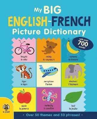 My Big English-French Picture Dictionary 1