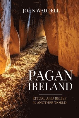 bokomslag Pagan Ireland