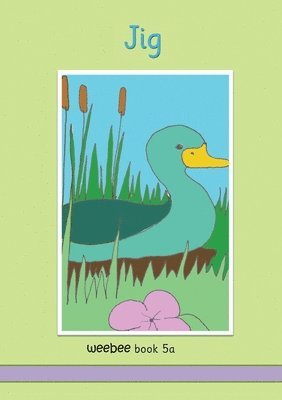 bokomslag Jig weebee Book 5a