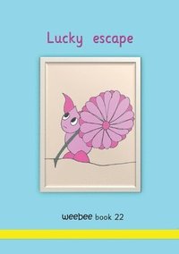bokomslag Lucky escape