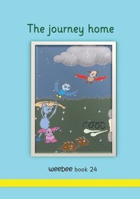 bokomslag The journey home
