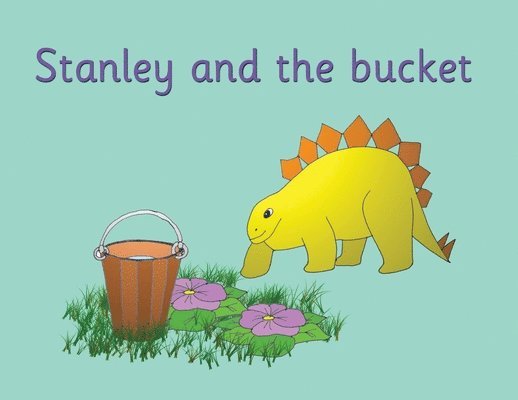 R Price-Mohr, R. Price-Mohr - Stanley and the bucket, Häftad