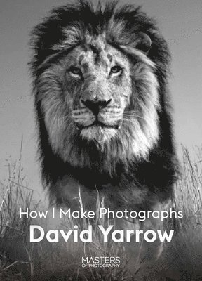 David Yarrow 1