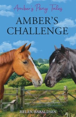 bokomslag Amber's Challenge