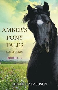 bokomslag Amber's Pony Tales Collection