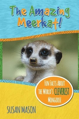 Amazing Meerkat!