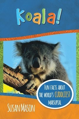 Koala!
