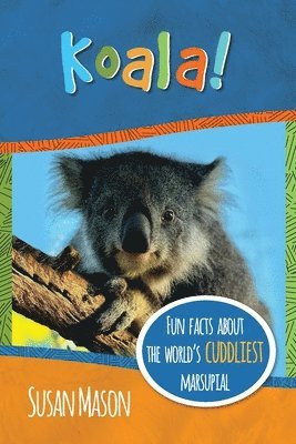 Koala! 1