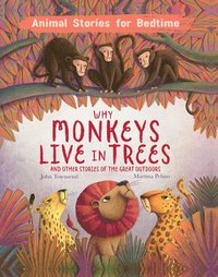 bokomslag Why Monkeys Live In Trees and Other Animal Stories of the Great Outdoors