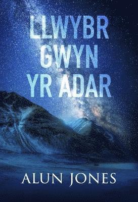 bokomslag Llwybr Gwyn yr Adar