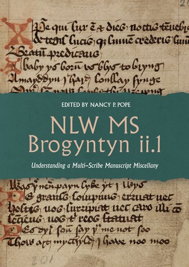 Nancy P. Pope - NLW MS Brogyntyn ii.1, Inbunden