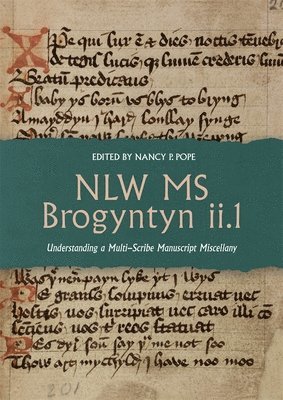 bokomslag NLW MS Brogyntyn ii.1