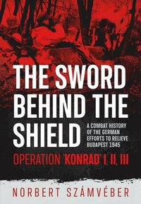bokomslag The Sword Behind The Shield
