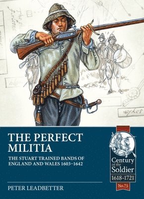 bokomslag Perfect Militia
