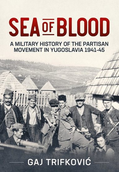 bokomslag Sea of Blood