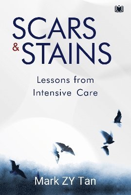 bokomslag Scars & Stains