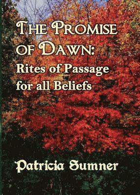 bokomslag The Promise of Dawn