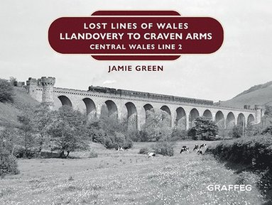 bokomslag Lost Lines of Wales: Llandovery to Craven Arms