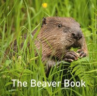 bokomslag Nature Book Series: The Beaver Book