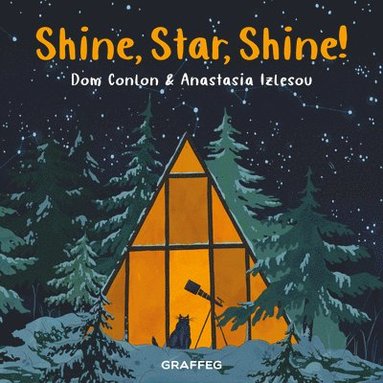 Dom Conlon - Shine, Star, Shine!, Häftad