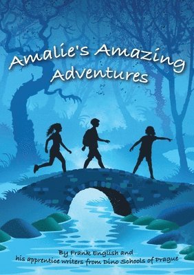 Frank English - Amalie's Amazing Adventures, Häftad