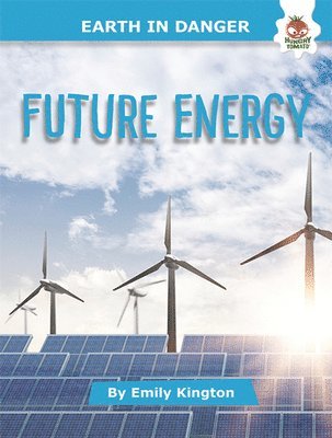 bokomslag Future Energy