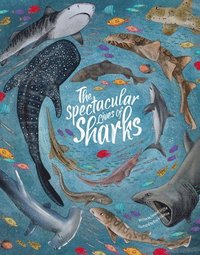 bokomslag Spectacular Lives of Sharks