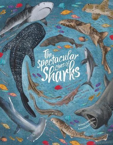 Annabel Griffin - Spectacular Lives of Sharks, Inbunden