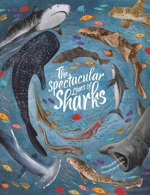 Spectacular Lives of Sharks 1