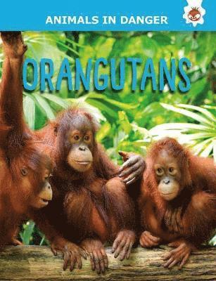 bokomslag Orangutans