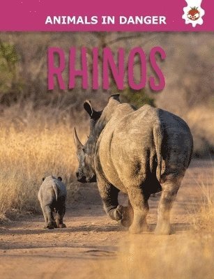 bokomslag Rhinos