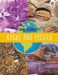 bokomslag Rocks and Fossils