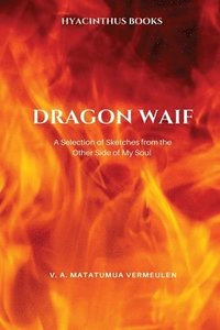 bokomslag Dragon Waif