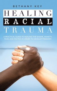 bokomslag Healing Racial Trauma