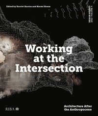 bokomslag Design Studio Vol. 4: Working at the Intersection