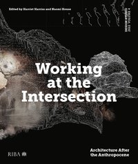 bokomslag Design Studio Vol. 4: Working at the Intersection