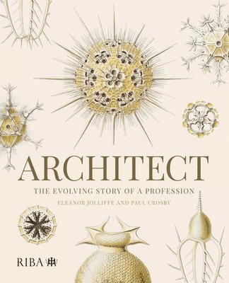 Architect: The evolving story of a profession 1