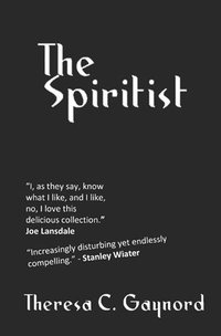 bokomslag The Spiritist