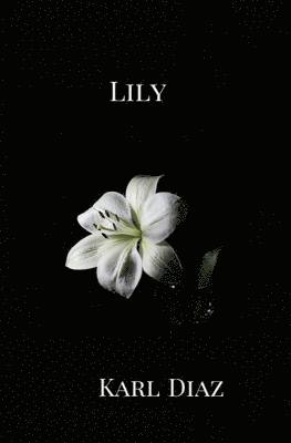 bokomslag Lily