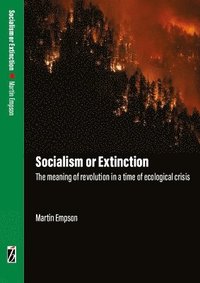 bokomslag Socialism or Extinction