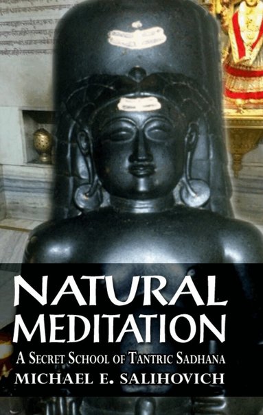 Michael E Salihovich - Natural Meditation, Häftad