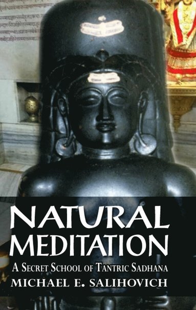 bokomslag Natural Meditation