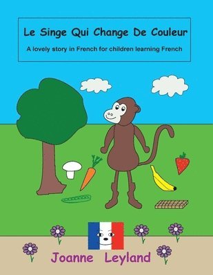 bokomslag Le Singe Qui Change De Couleur