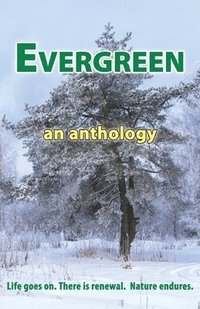 bokomslag Evergreen